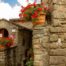 ©Montagna Verde