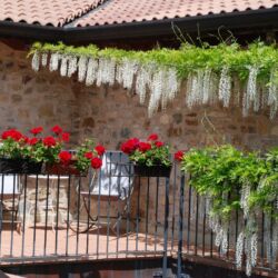 ©Podere Conti